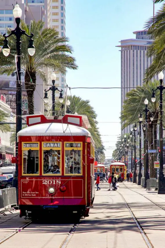 Red Trolley stopped on palm-lined boulevard with antique street lamps