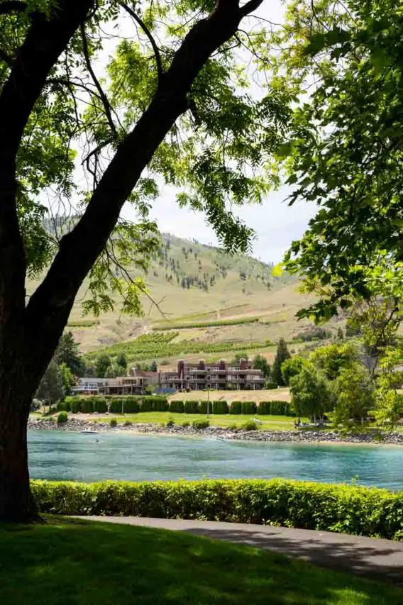 Lake Chelan with vineyard on hillside in background