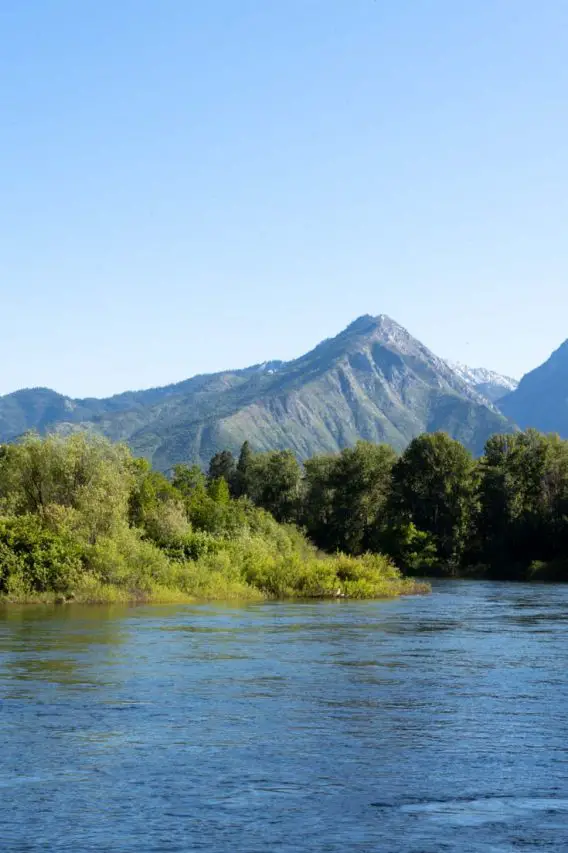 River in foreground with forest and mountains in background