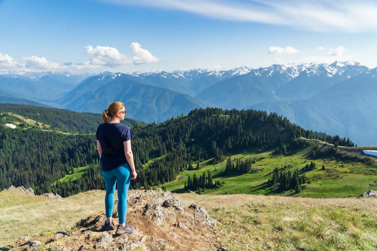 Woman standing on rock, looking out at snow-capped mountain peaks with forested hilltop in foreground