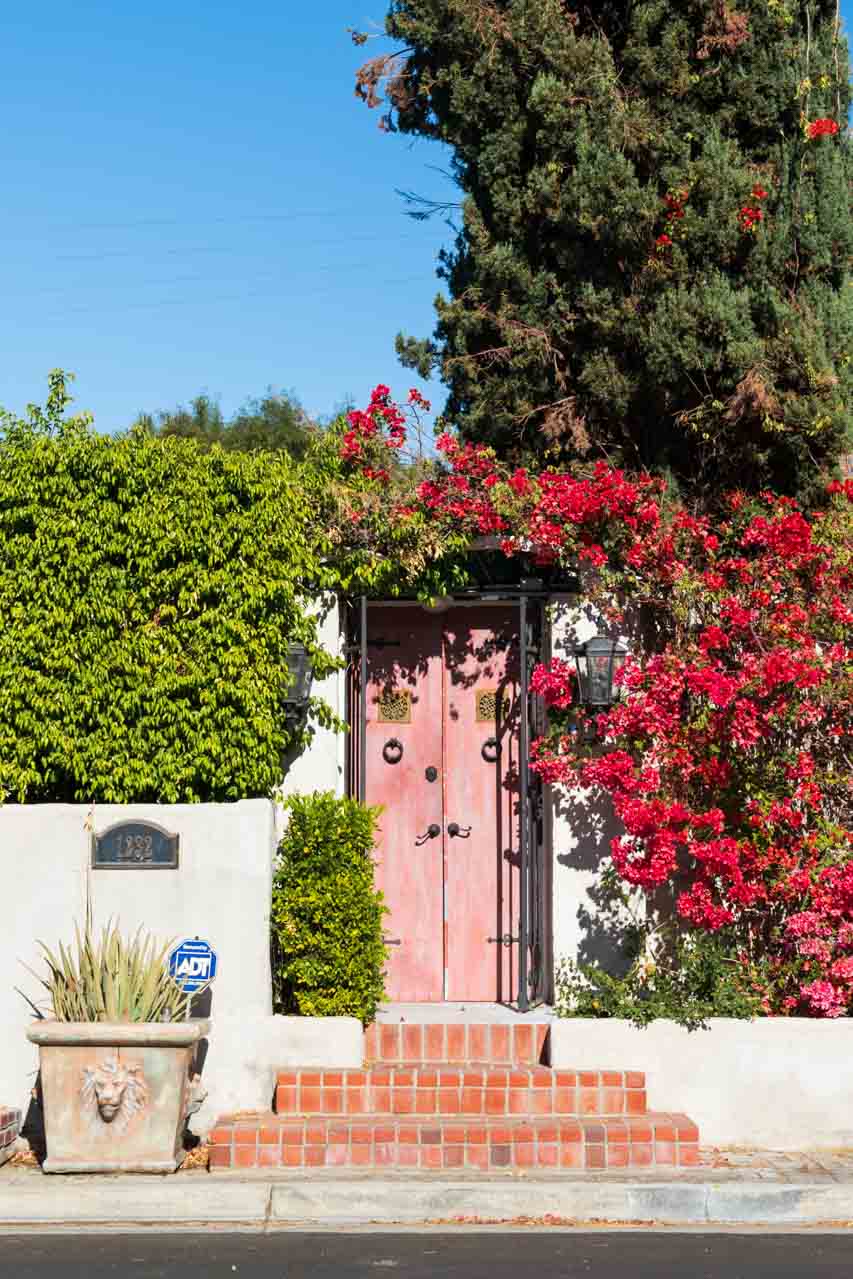 Pink wooden door framed by hedging and azaleas.