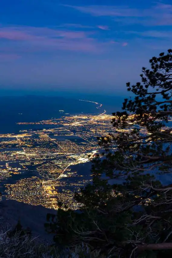 City lights in the Coachella Valley viewed from above with the silhouette of a tree in foreground