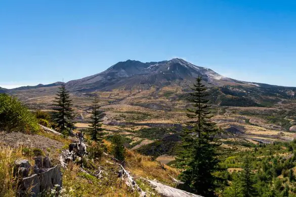 Mt St Helens Crater viewed from Johnson Ridge