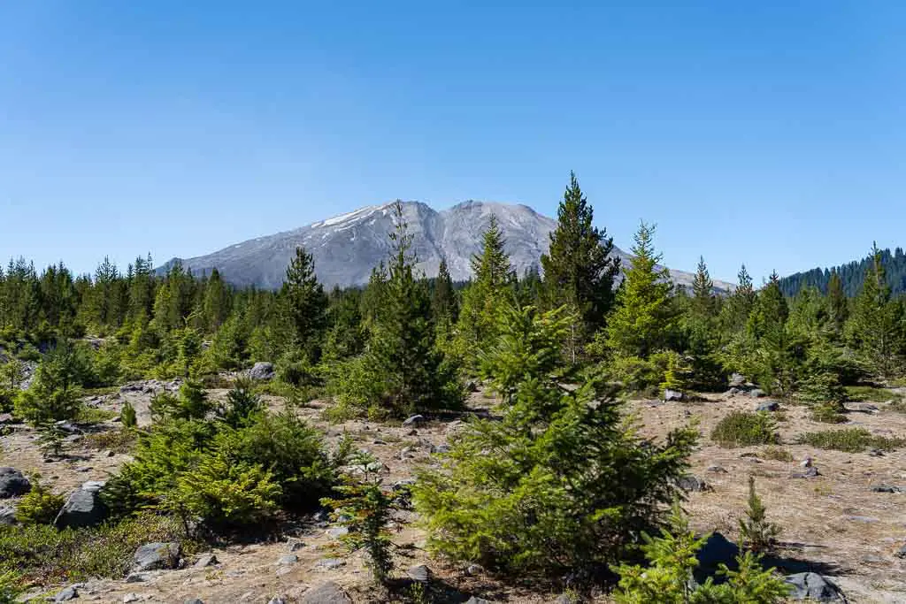 how long to visit mt st helens