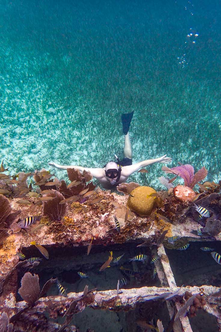 Man snorkelling among coral growing on a shipwreck