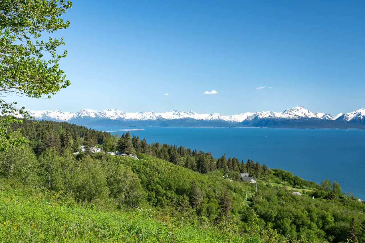 View over Homer and Kachemak Bay with blue sky and snowcapped mountains