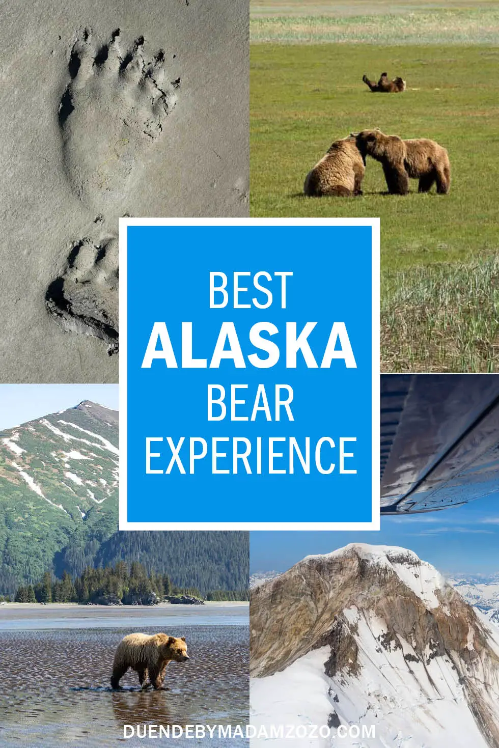 Pin with images of bear viewing day trip and title "Best Alaska Bear Experience"