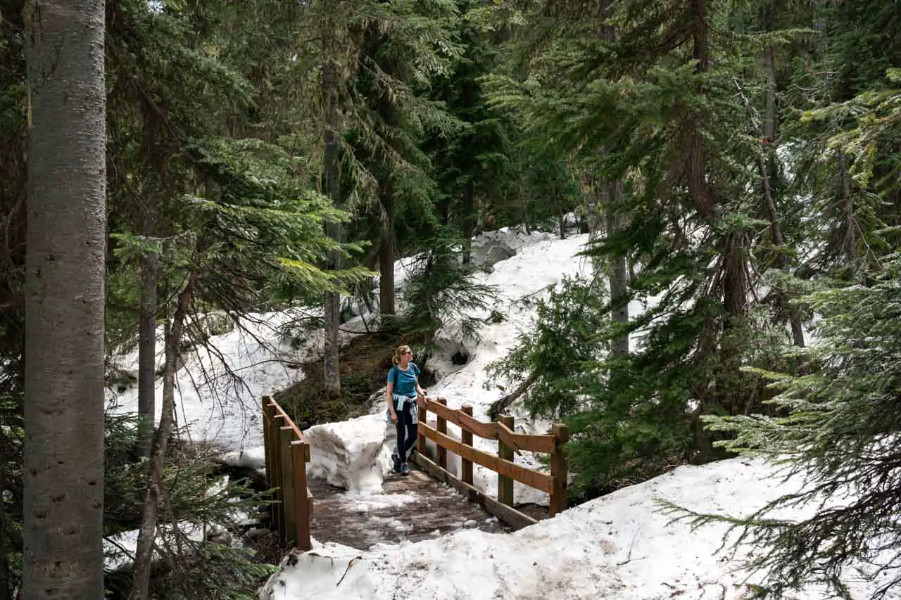 The partially snow-covered Rainy Lake Trail