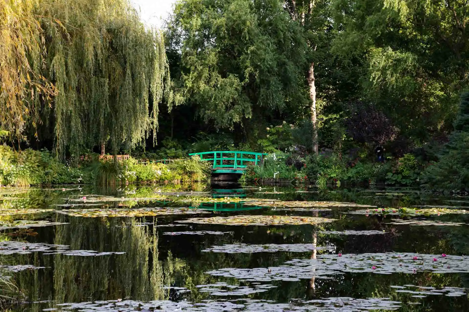 Monet's Water Garden in Giverny with green, arched bridge and lily pond