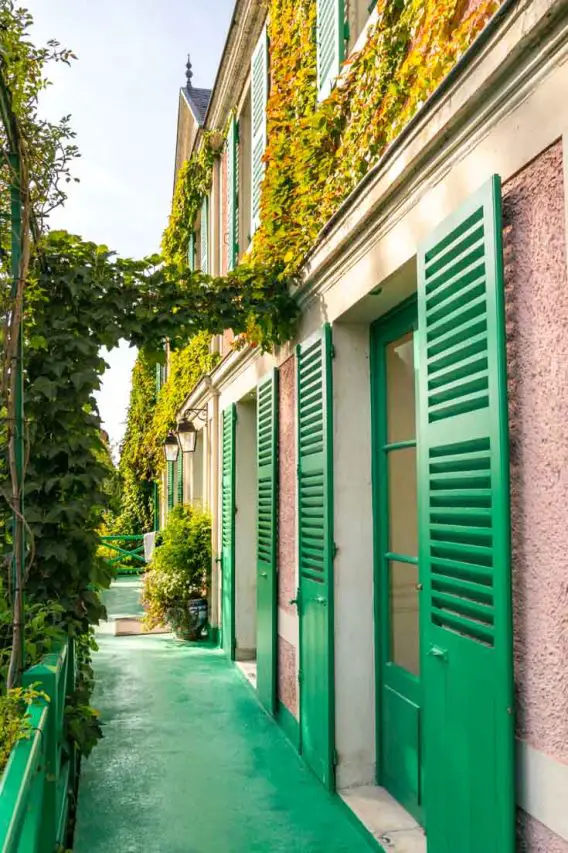Rear of pink stucco home with green shutters and ivy-covered walls