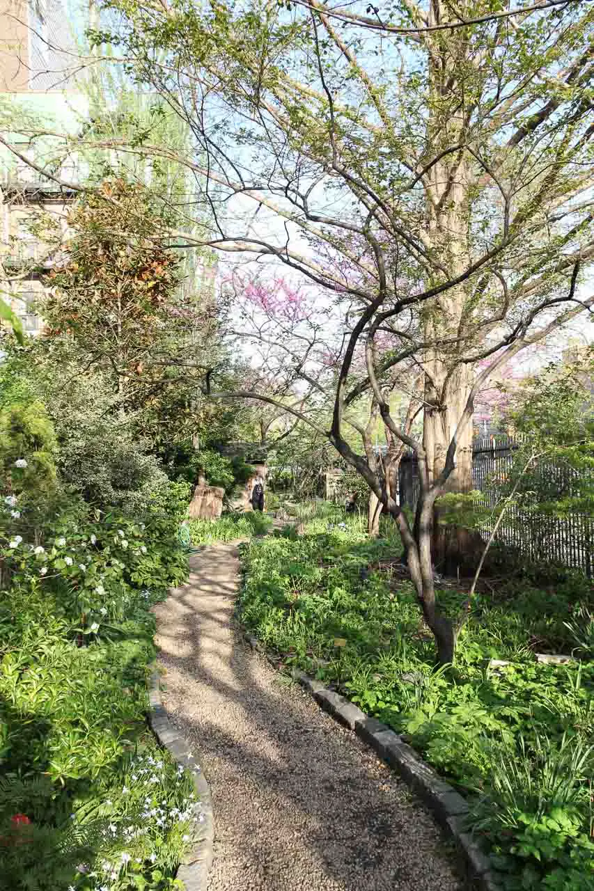 Gravel trail through blooming garden