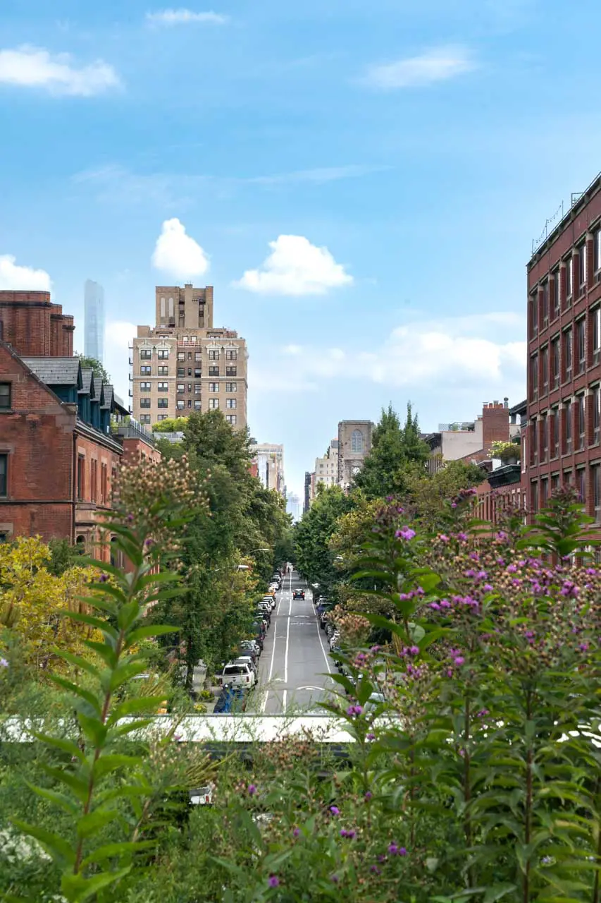 Summer views from the High Line with lush greenery in foreground and lining a Manhattan street.