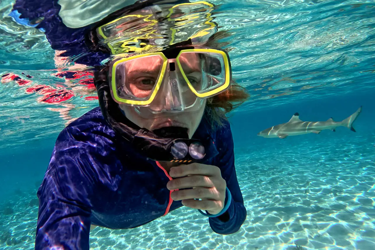 Snorkeller taking selfie with blacktip shark in background