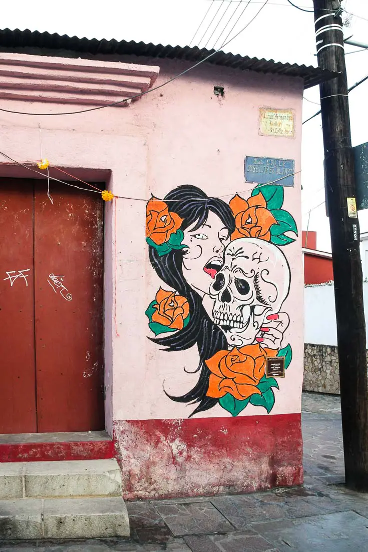 Oaxaca street art of woman licking skull, surrounded by red flowers
