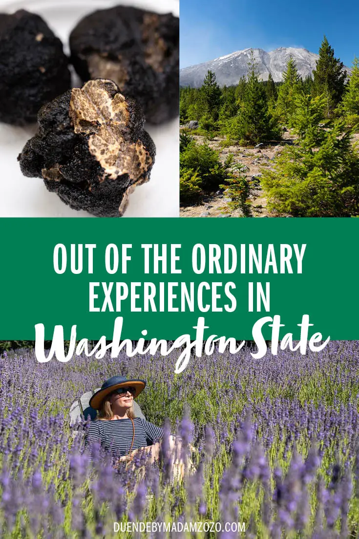 Images of black truffles, Mt St Helens and woman sitting serenely in a lavender field with the title "Out of the Ordinary Experiences in Washington State"